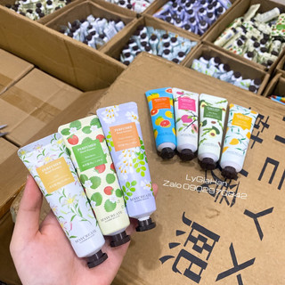 Kem dưỡng da tay Maycreate 30g