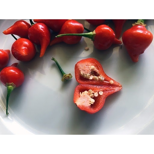 Chậu cây ớt quả hình trái tiim biquinho, ăn thơm mùi trái cây chuẩn giống