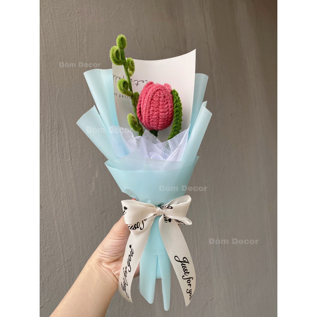 Hoa Len Gói Sẵn - Quà Tặng Kèm 20/10, Noen, 14/2, 8/3,...