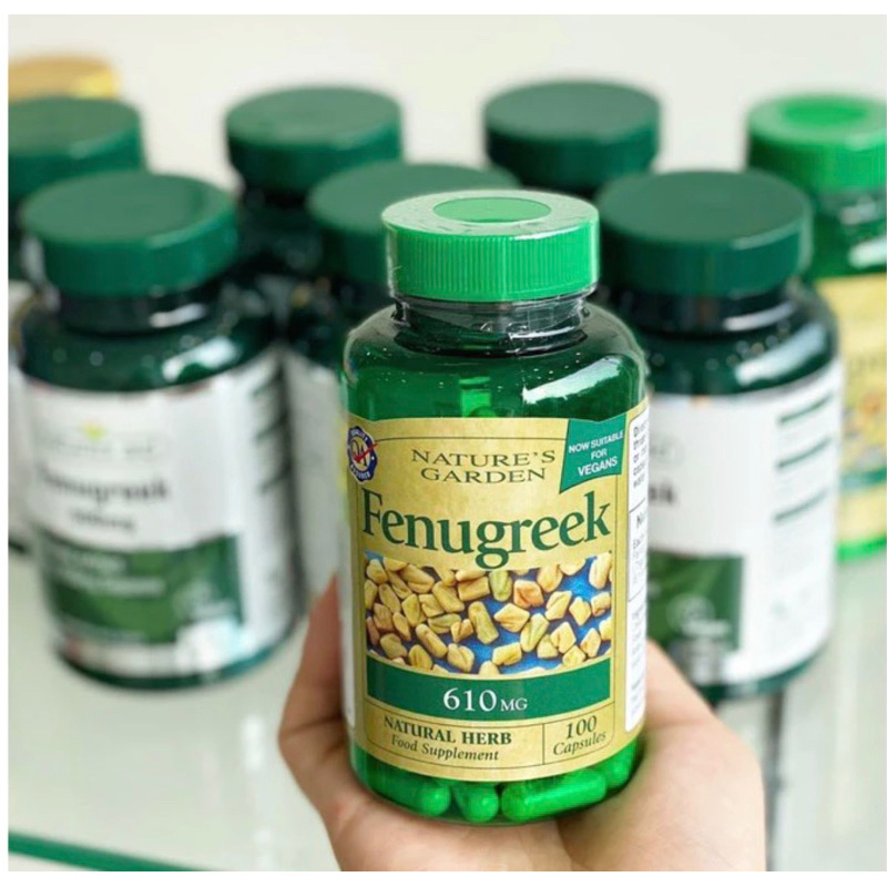 Viên uống cỏ lợi sữa cari Fenugreek 610mg và 500mg của Anh cho mẹ bầu