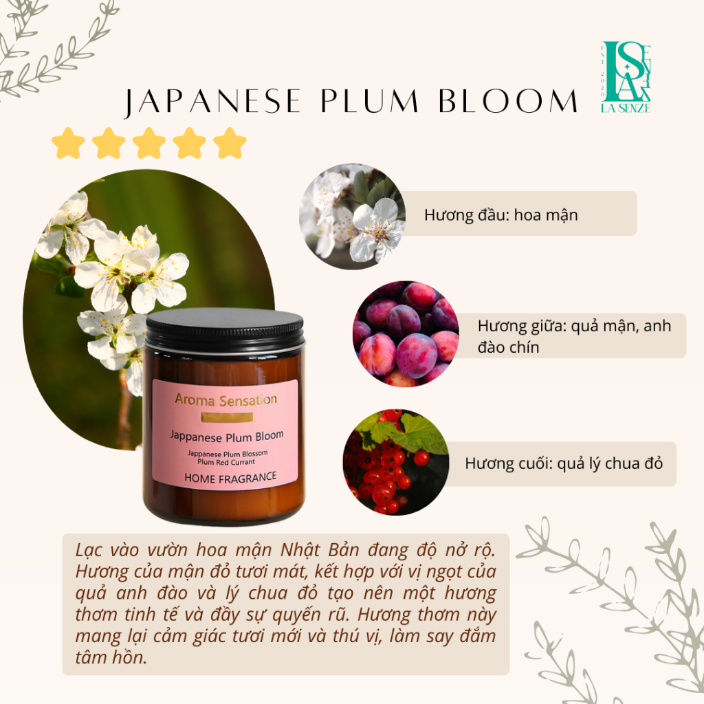 Nến Thơm Tinh Dầu JAPANESE PLUM BLOOM Aroma Sensation Cổ Điển & Sang Trọng