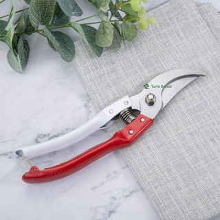 Kéo cắt cành v7 cán trắng đỏ 200mm