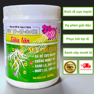 Phân bón siêu lân 19-49-0+te kích rễ cực mạnh mau bén rễ ra nhiều rễ cám giải độc phục hồi cây