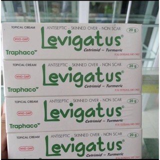 Kem nghệ levigatus