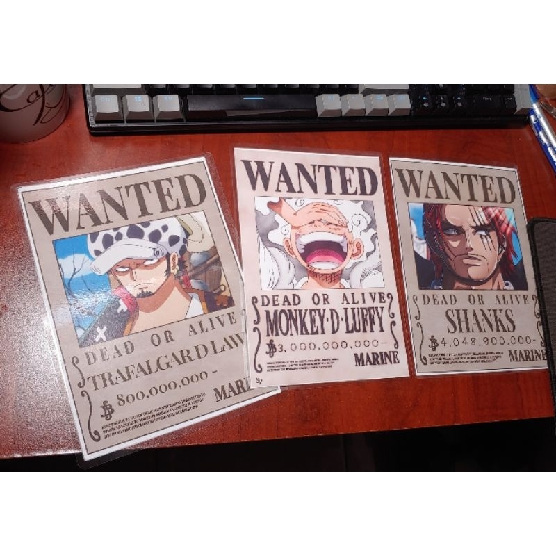 Poster truy nã onepiece A5 ép plastic