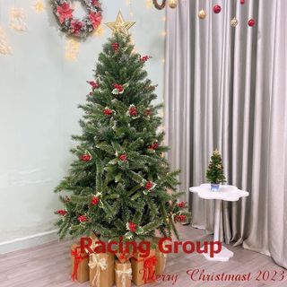 Cây thông noel 90Cm, 1.2M, 1.5M 3 loại lá gắn trái đỏ tán dày rậm sum xuê trang trí giáng sinh Hàng Việt Nam cao cấp