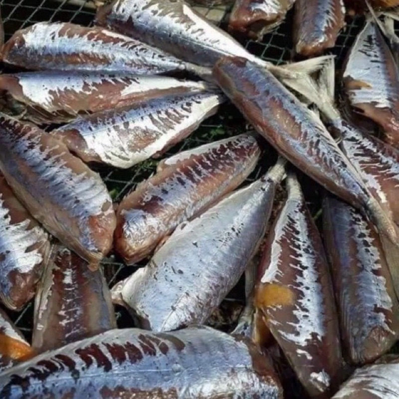 1 khay cá nục 1 nắng 500g