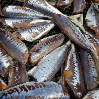 1 khay cá nục 1 nắng 500g