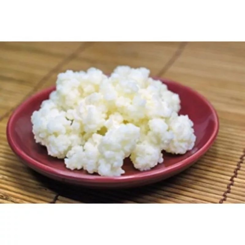 Nấm Sữa Kefir _ Nấm Làm Sữa Chua