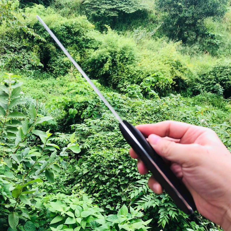 Dao thái Akatsuki Nhật