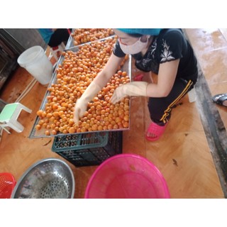 Mơ Sơn La Sấy Dẻo 500g