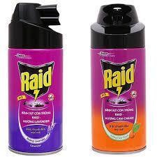 Bình xịt côn trùng RAID 300ml