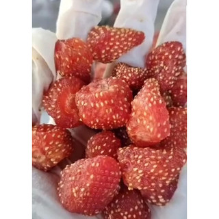 Dâu Tây Sấy Dẻo (500g/hộp)
