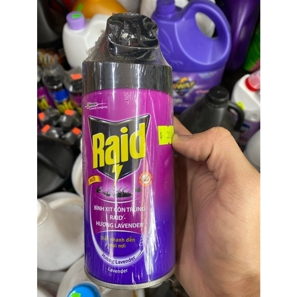 RAID Bình xịt côn trùng 300ml