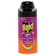 RAID Bình xịt côn trùng 300ml