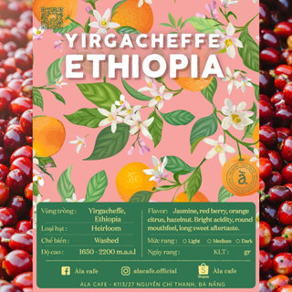 Cà phê Ethiopia Yirgacheffe  200gram/500gram