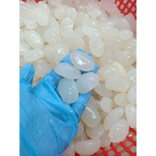 1kg HẠT ĐÁC TƯơI SIZE ĐẠi (BIGSIZE) HẠT LỰA-LỚN