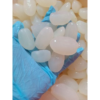 1kg HẠT ĐÁC TƯơI SIZE ĐẠi (BIGSIZE) HẠT LỰA-LỚN