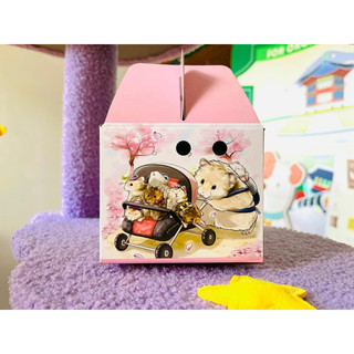 HỘP GIẤY VẬN CHUYỂN HAMSTER
