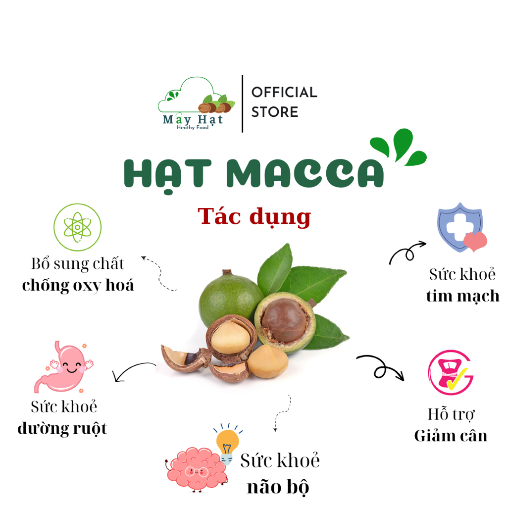 Hạt Macca Đắk Lắk size đại sấy nứt vỏ Mây Hạt 500g