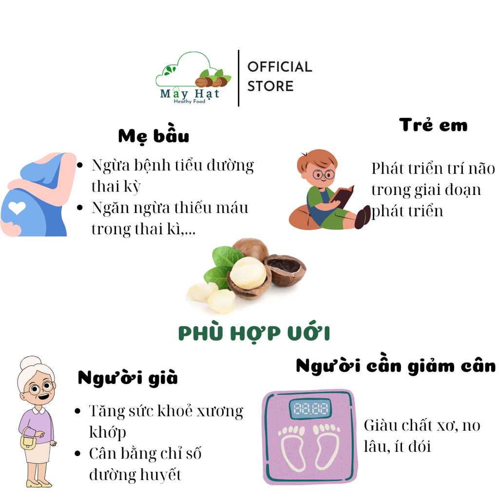 Hạt Macca Đắk Lắk size đại sấy nứt vỏ Mây Hạt 500g