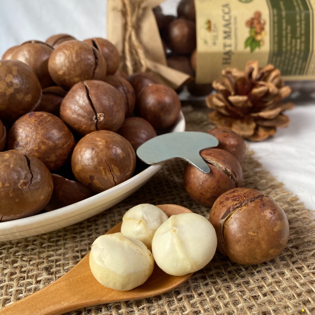 Hạt Macca Đắk Lắk size đại sấy nứt vỏ Mây Hạt 500g