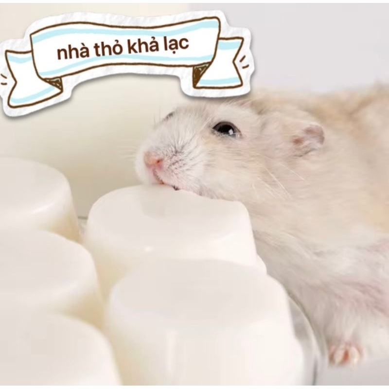 Pudding Sữa Dê Thái Lan Bổ Sung Canxi Cho Sóc bay - Hamster