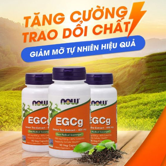 Viên uống trà xanh giảm cân Now EGCg Green Tea Extract (90 viên) hỗ trợ đốt mỡ, đẹp da chống oxy hóa