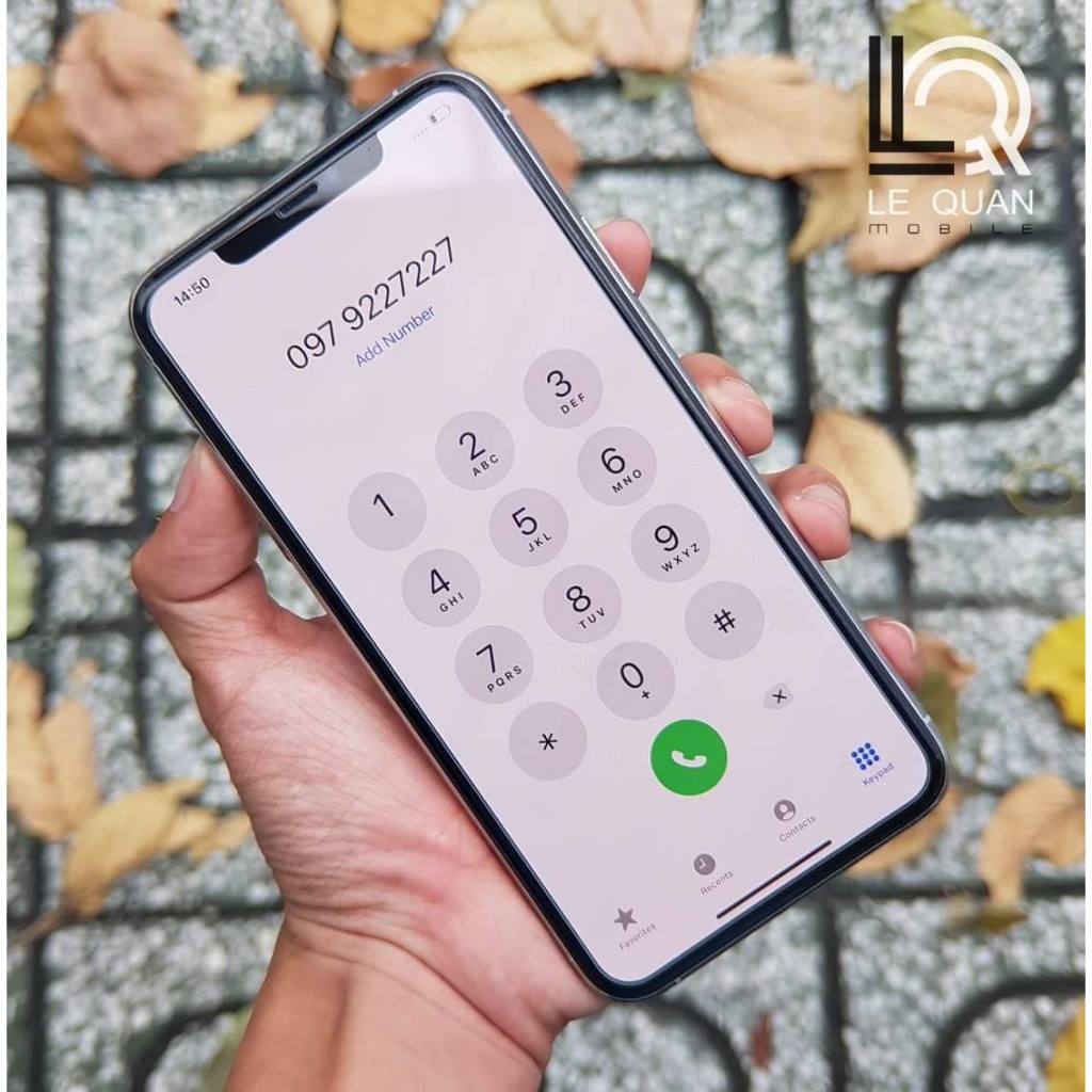 [1P 11 Pro Max 256 LLA