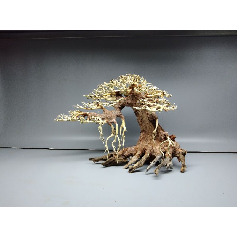 Cây gỗ lũa bonsai dành cho bể cá bể thủy sinh kích thước 40 đến 80 cm