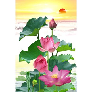 Tranh Canvas Hoa Sen hồng - HS067
