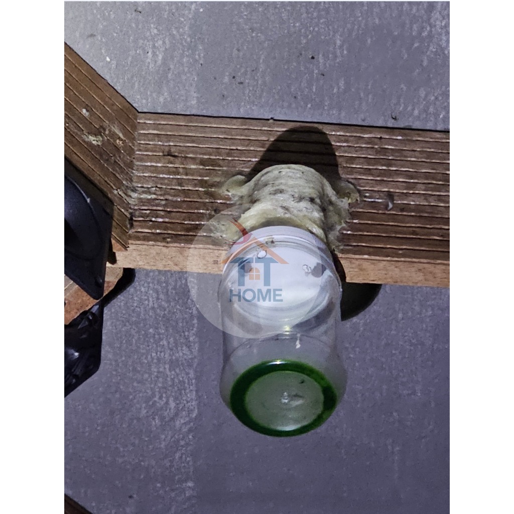 LOVEPOTION⚡ Dung dịch LOVEPOTION ⚡️ Giúp thu hút chim Yến