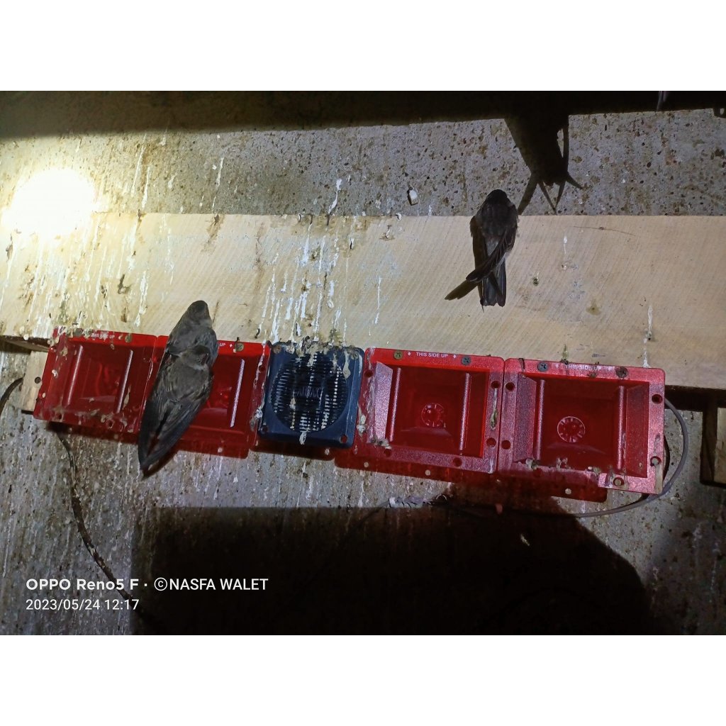 ⚡ LOA dẫn AUDAX CAO CẤP AX 65W NEW - CÓ DÂY ⚡ CHỐNG NƯỚC ⚡️ Loa cao cấp nhập khẩu chính hãng Indonesia