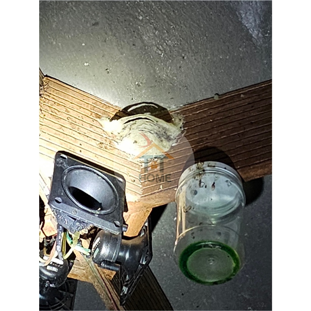 LOVEPOTION⚡ Dung dịch LOVEPOTION ⚡️ Giúp thu hút chim Yến