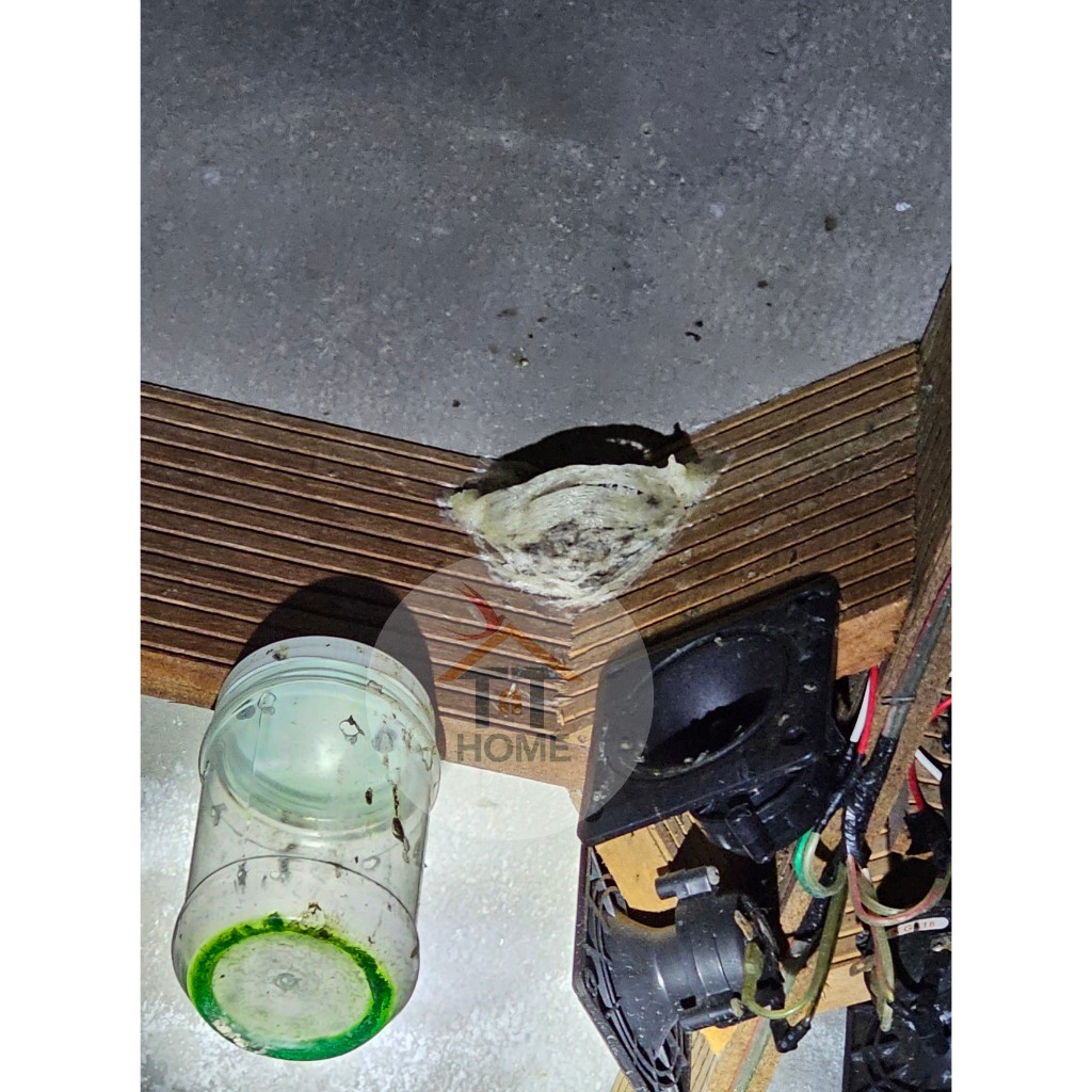 LOVEPOTION⚡ Dung dịch LOVEPOTION ⚡️ Giúp thu hút chim Yến