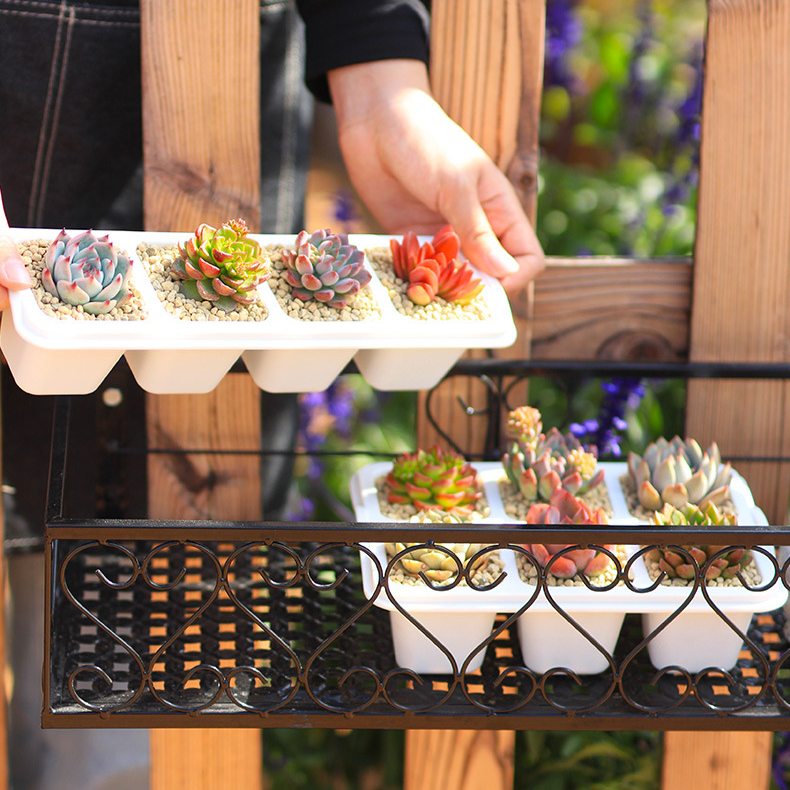 Chậu trồng sen đá MONROVIA, kèm đĩa lót, trồng cây mini, bonsai, xương rồng, decor bàn làm việc