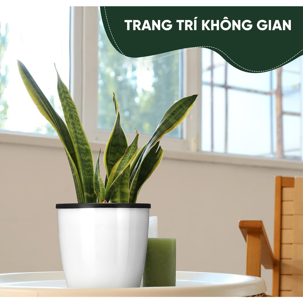 Chậu trồng cây thông minh tự tưới MONROVIA, chất liệu cao cấp, để bàn, trang trí nhà cửa, văn phòng, ngoài trời