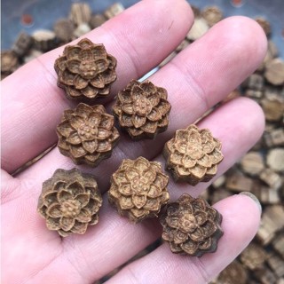 GIÁ SỈ Charm Sen Gỗ Xỏ Ngang Mix Trầm Hương - Mộc Hương Rừng