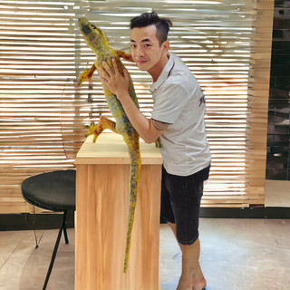Gấu Bông Con Thằn Lằn 3D 1M2 Siêu Cưng