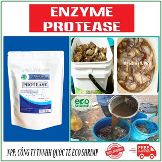 1 gói 500gr enzyme protease ủ phân cá