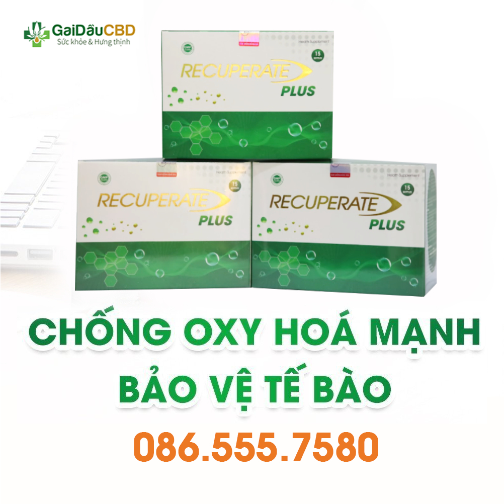 Đạm tươi Recuperate Plus của Đức mẫu mới 2023