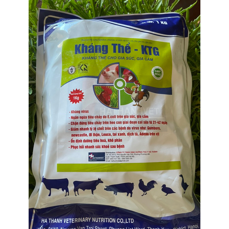 100gr Kháng Thể KTG