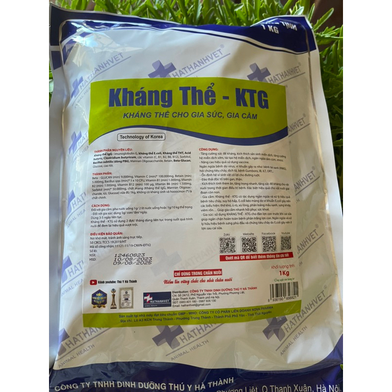 100gr Kháng Thể KTG