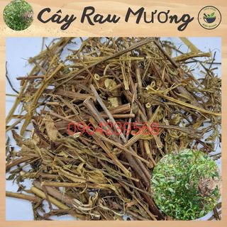 Cây Rau Mương Tím- Túi 500g và 1kg loại mới phơi khô, hàng sạch chất lượng tốt
