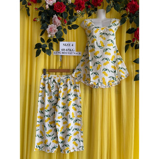 Bộ tole lửng 65kg