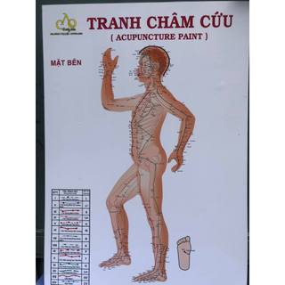 Tranh châm cứu ( đông y ) kt:40x60x3 tranh