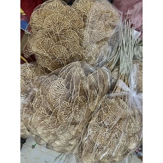 Cành táo đồng cành rẻ quạt