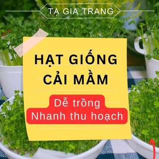 Hạt giống cải mầm các loại