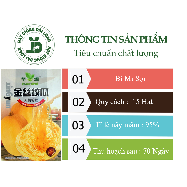 Hạt giống bí ngô sợi mì Spaghetti Pinnacle - tỷ lệ nảy mầm 95% - Tặng gói kích nảy mầm