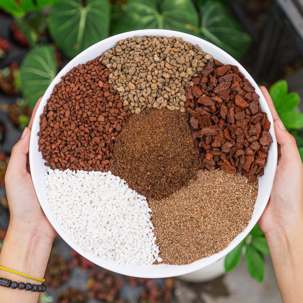 Đất trồng sen đá - Bao chiết từ bao Soil Mix 6kg - Nhanh ra rễ, cây lên màu siêu đẹp | Bloom Garden